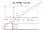 BPC-157, TB-500 10mg (Blend) - Image 4