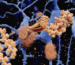 is peptide sciences a compounding pharmacy